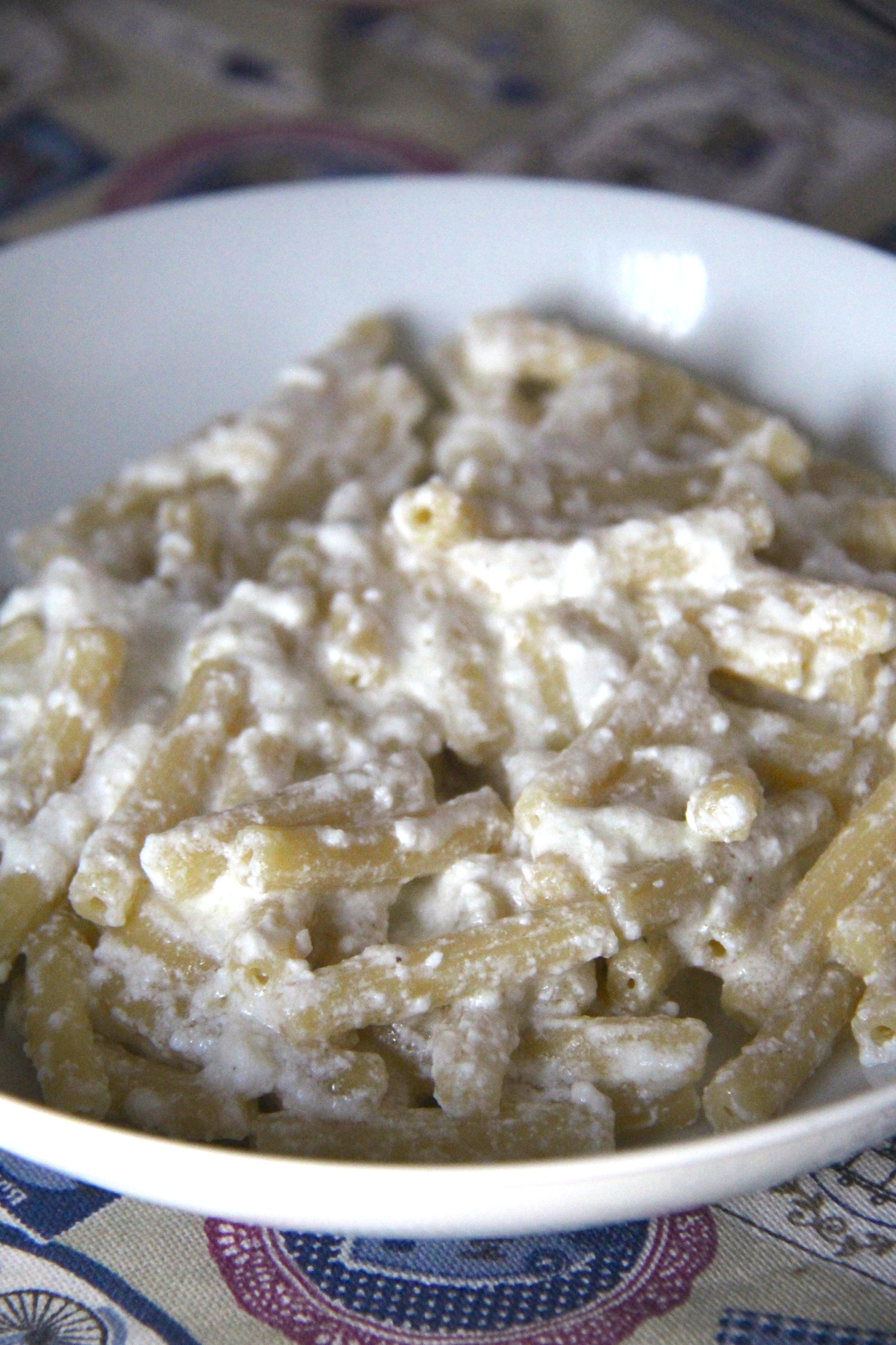 Pasta con crema di ricotta di pecora all'olio d'oliva e lasciate in pace i nostri ulivi!
