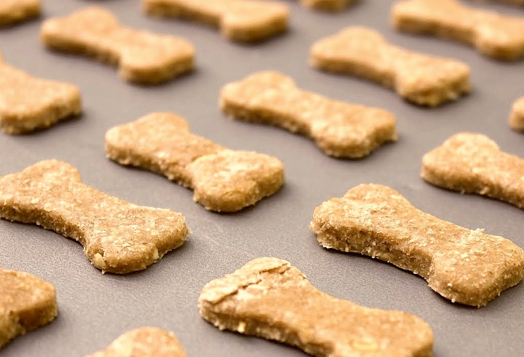 Biscotti per Cani fatti in casa, ricetta facilissima