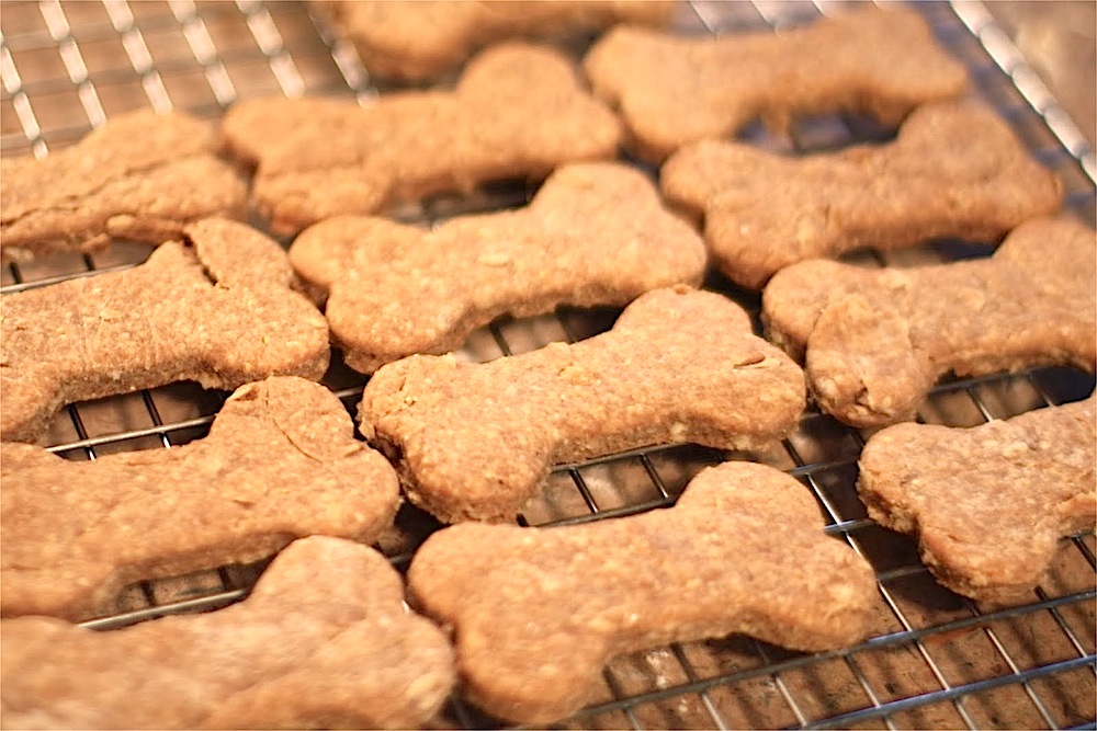 Biscotti per Cani fatti in casa, ricetta facilissima