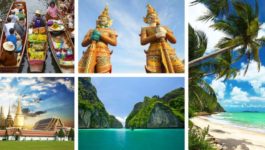 THAILANDIA Viaggio alla Scoperta dello Zenzero Dorato