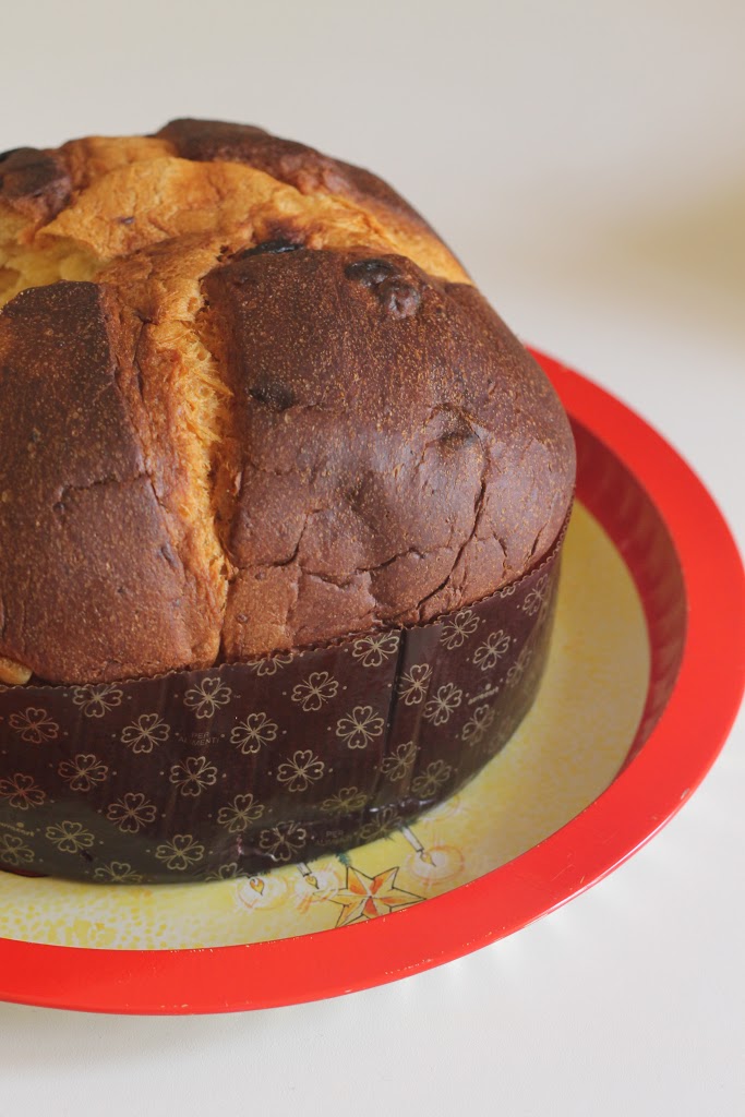 Panettone dolce con olive Celline, frutta candita e pinoli
