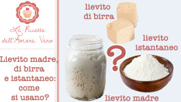 Lievito madre, lievito di birra e lievito istantaneo: come si usano?