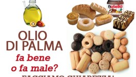 Olio di palma: fa bene o fa male? Facciamo chiarezza!