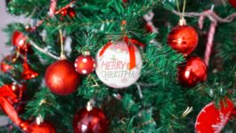 IL MIO ALBERO DI NATALE | My Christmas Tree | VlogMas